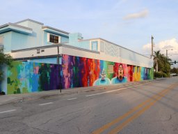 Focus Murals